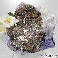 ꥫ ०åɹۻ ѡץ֥롼ե饤ȡե饤 No.39β