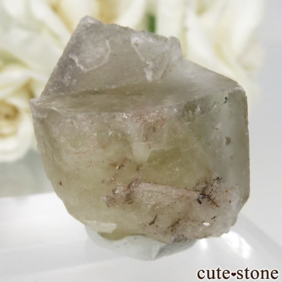 ǥʥ٥ The Bull vein ե饤Ȥη뾽ʸСNo.30μ̿0 cute stone