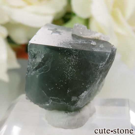 フランス Marsanges Mine産 フローライト&クォーツの原石 No.14の写真1 cute stone