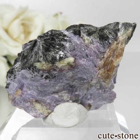  ȡƥʥȤθ No.4μ̿1 cute stone
