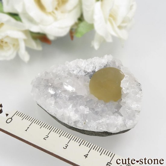 ɻ Υե饤ȡĤθ No.27μ̿4 cute stone