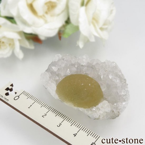 ɻ Υե饤ȡĤθ No.28μ̿4 cute stone