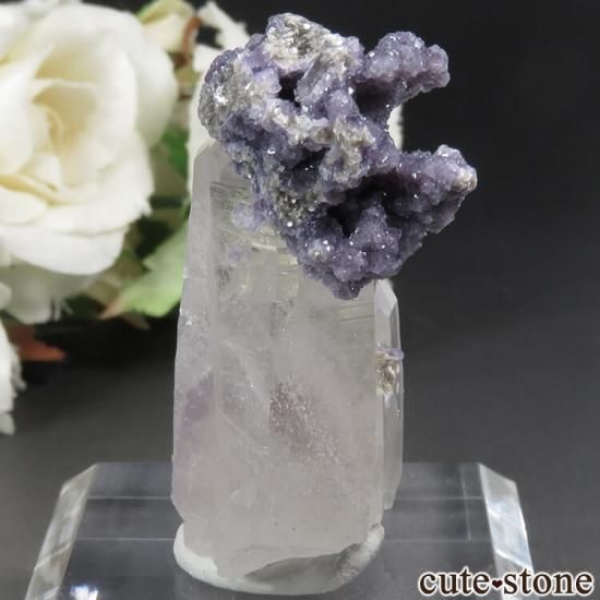 䥪󥷥 ե饤ȡ No.41μ̿1 cute stone