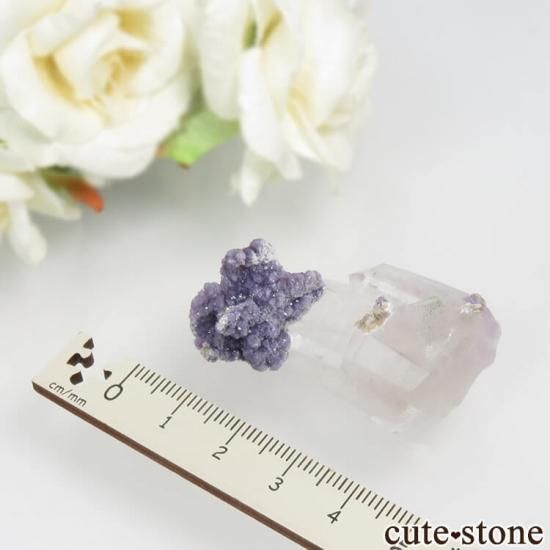 中国 ヤオガンシャン産 フローライト 蛍石 ② 水晶 クォーツ 鉱物標本 原石 ヤオガンシャン産 フローライト(蛍石) ＆水晶の共生標本 8.5g