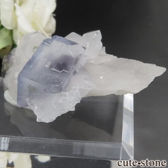 䥪󥷥 ֥롼ե饤ȡ No.42μ̿1 cute stone