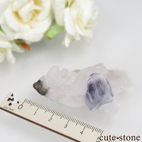䥪󥷥 ֥롼ե饤ȡ No.42μ̿3 cute stone