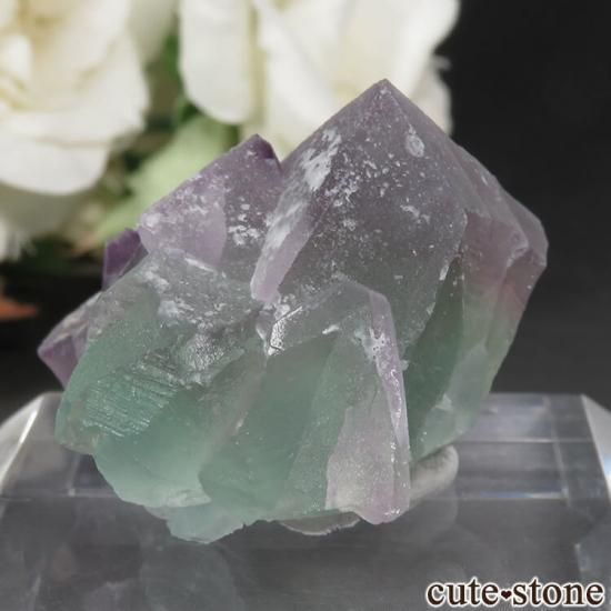 䥪󥷥 ѡץߥ꡼ե饤 No.44μ̿1 cute stone