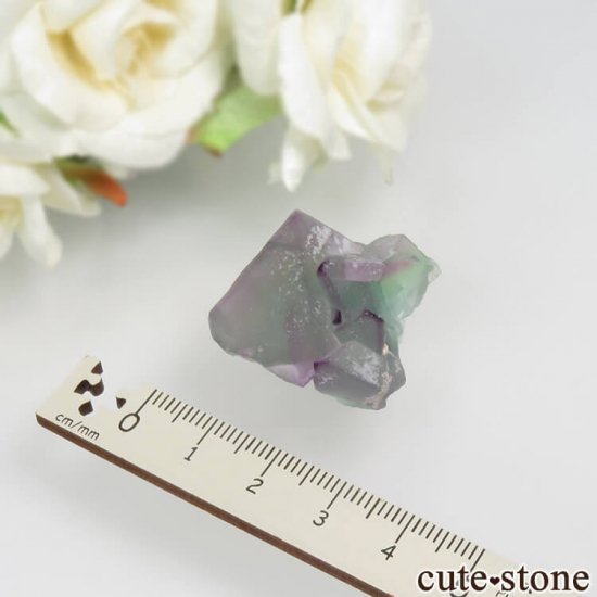 䥪󥷥 ѡץߥ꡼ե饤 No.44μ̿3 cute stone