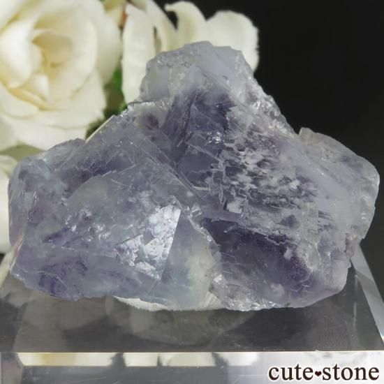 䥪󥷥 ֥롼ե饤 No.45