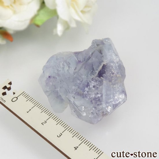 䥪󥷥 ֥롼ե饤 No.45μ̿3 cute stone