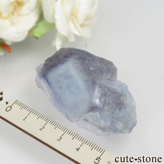 䥪󥷥 ֥롼ե饤 No.46μ̿3 cute stone