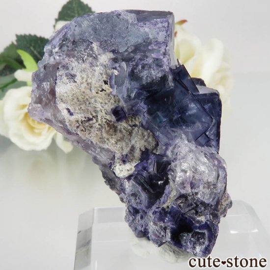 䥪󥷥 ֥롼ե饤 No.47μ̿0 cute stone