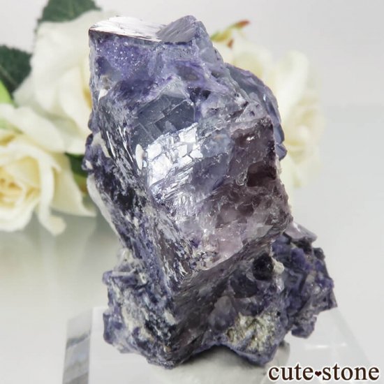 䥪󥷥 ֥롼ե饤 No.47μ̿1 cute stone