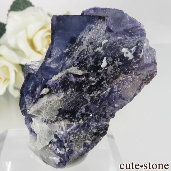 䥪󥷥 ֥롼ե饤 No.47μ̿2 cute stone