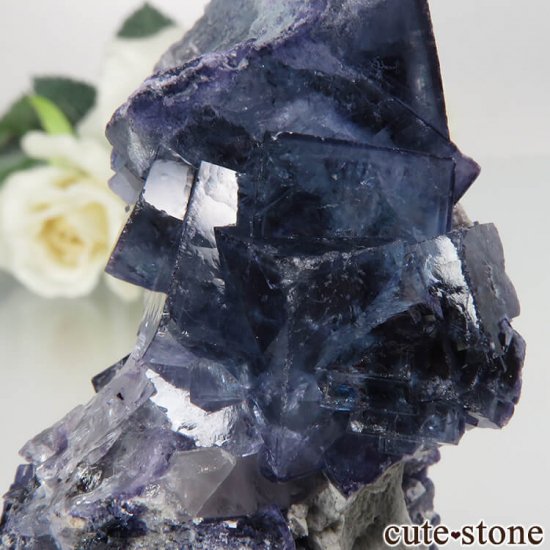 䥪󥷥 ֥롼ե饤 No.47μ̿3 cute stone