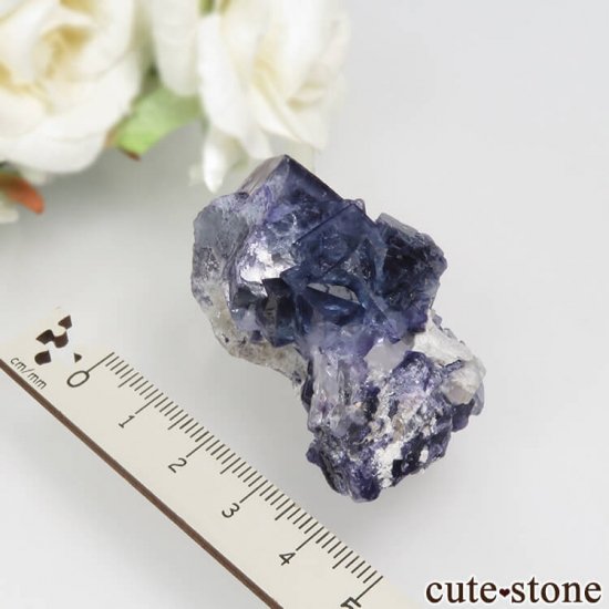 䥪󥷥 ֥롼ե饤 No.47μ̿4 cute stone