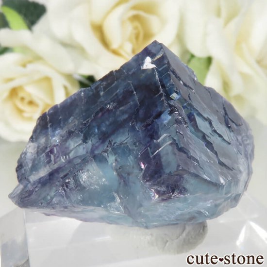 䥪󥷥 ֥롼ե饤 No.48μ̿1 cute stone