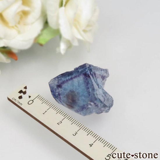 䥪󥷥 ֥롼ե饤 No.48μ̿3 cute stone