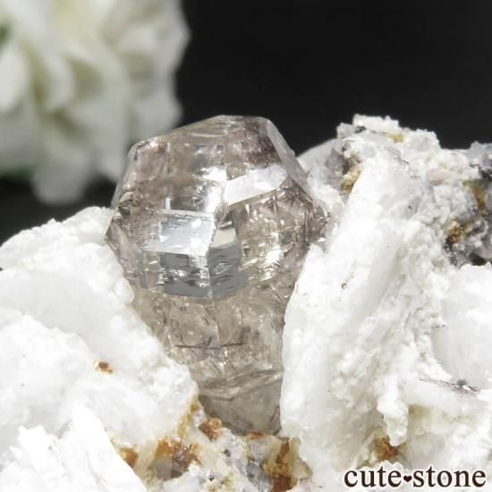 ѥ 뻺 ȥѡĤդ No.7μ̿2 cute stone