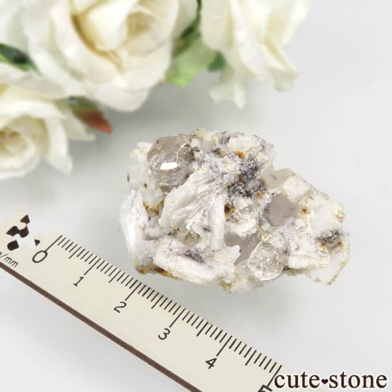 ѥ 뻺 ȥѡĤդ No.7μ̿4 cute stone