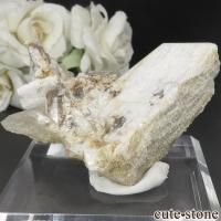 ѥ 뻺 ȥѡ&졼դ No.8β