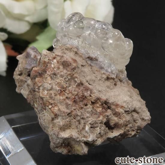 ᥭ Villa Garcia Municipality ϥ饤(ѡ)դ No.5μ̿1 cute stone