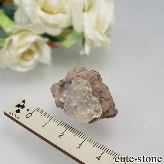 ᥭ Villa Garcia Municipality ϥ饤(ѡ)դ No.7μ̿3 cute stone