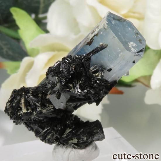 ʥߥӥ 󥴻 ޥ&֥åȥޥη뾽ʸСNo.29μ̿1 cute stone