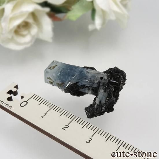 ナミビア エロンゴ産 アクアマリン&ブラックトルマリンの結晶 ナミビア エロンゴ産 アクアマリン&ブラックトルマリンの結晶