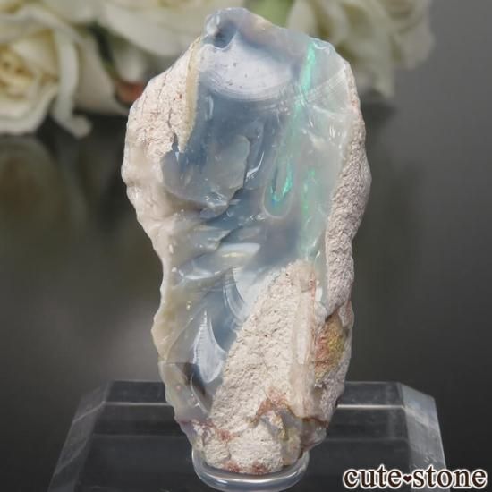 ȥꥢ 饤ȥ˥󥰥å ѡθ No.3