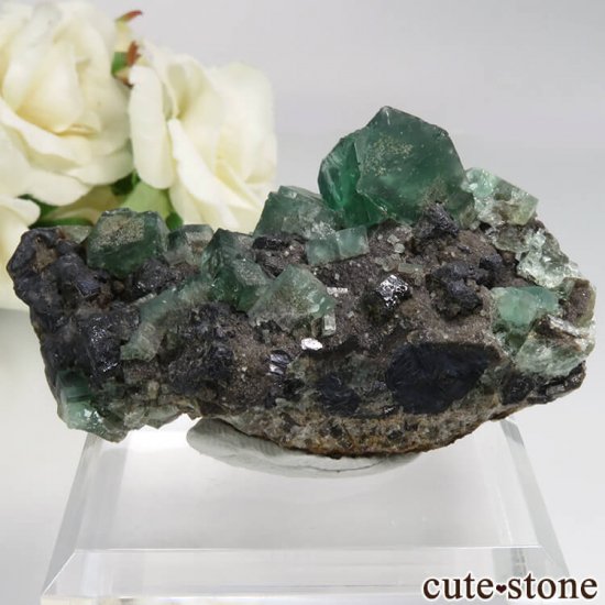 󥰥 Rogerley Mine ե饤ȡ No.14μ̿1 cute stone