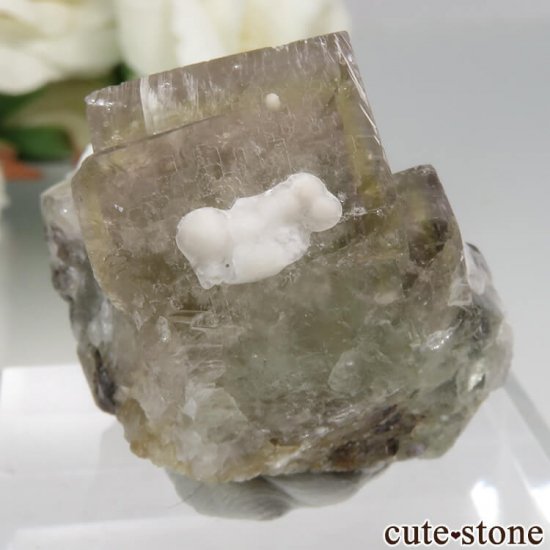󥰥 Rogerley Mine ե饤 No.16μ̿0 cute stone