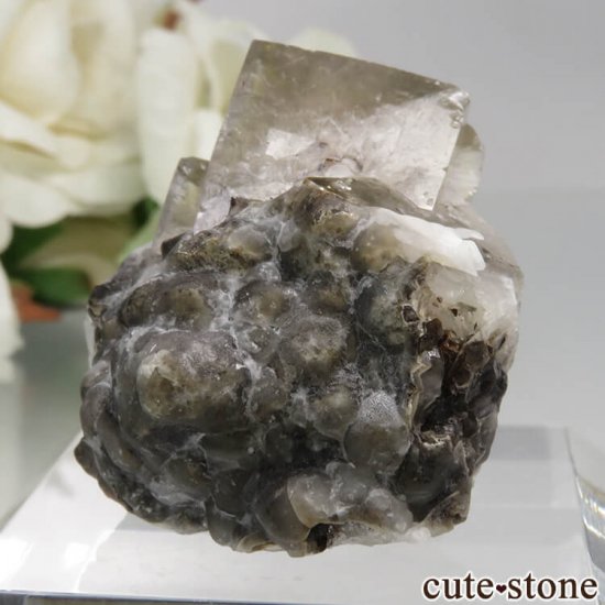 󥰥 Rogerley Mine ե饤 No.16μ̿2 cute stone