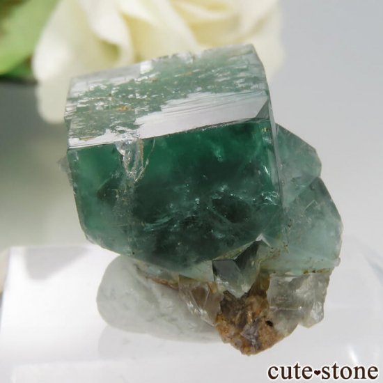 󥰥 Rogerley Mine ꡼ե饤 No.17μ̿0 cute stone