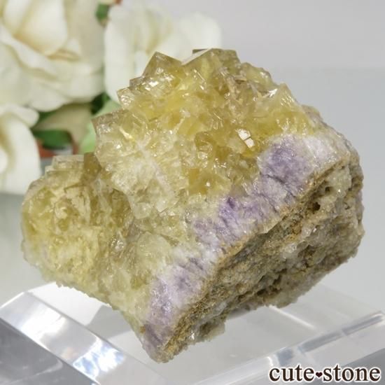 󥰥 Hilton Mine ե饤Ȥդ뾽ʸСNo.3μ̿1 cute stone