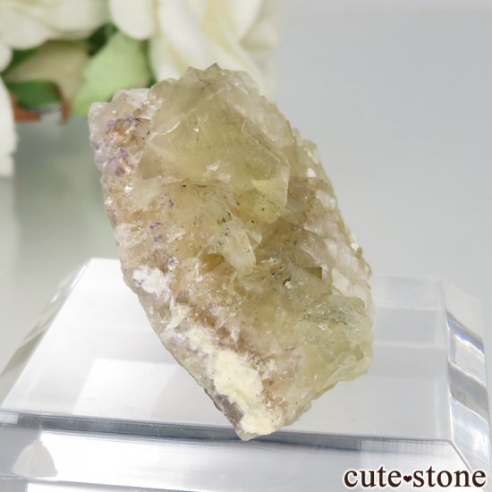 󥰥 Hilton Mine ե饤Ȥη뾽ʸСNo.4μ̿0 cute stone