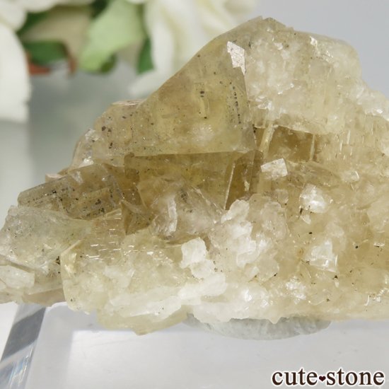 󥰥 Hilton Mine ե饤Ȥη뾽ʸСNo.4μ̿2 cute stone