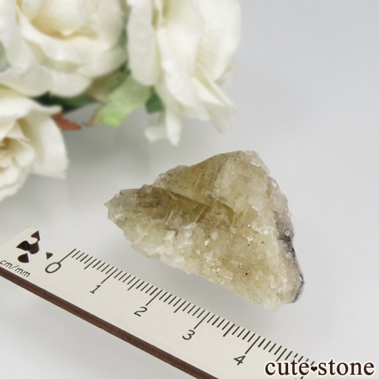 󥰥 Hilton Mine ե饤Ȥη뾽ʸСNo.4μ̿3 cute stone
