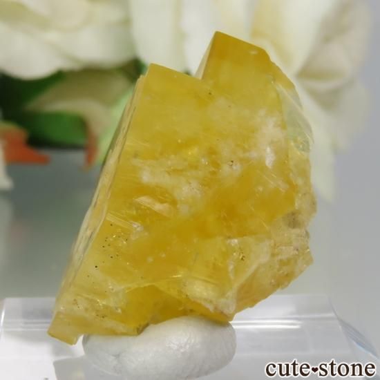 󥰥 Hilton Mine ե饤Ȥη뾽ʸСNo.5μ̿2 cute stone