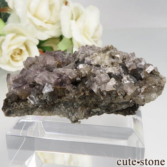 󥰥 Newlandside ѡץե饤Ȥθ No.3μ̿1 cute stone