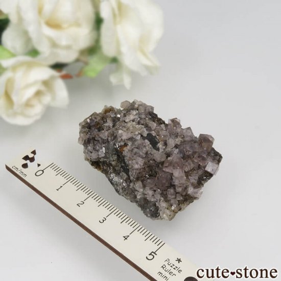 󥰥 Newlandside ѡץե饤Ȥθ No.3μ̿3 cute stone