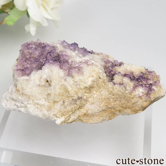 󥰥 Coldstones ѡץե饤Ȥθ No.1μ̿0 cute stone