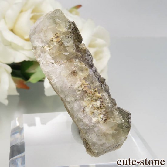 󥰥 Glossop ե饤Ȥθ No.1μ̿0 cute stone