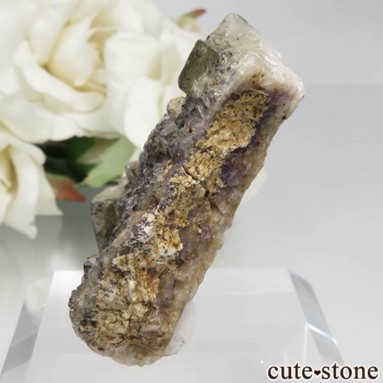 󥰥 Glossop ե饤Ȥθ No.1μ̿1 cute stone