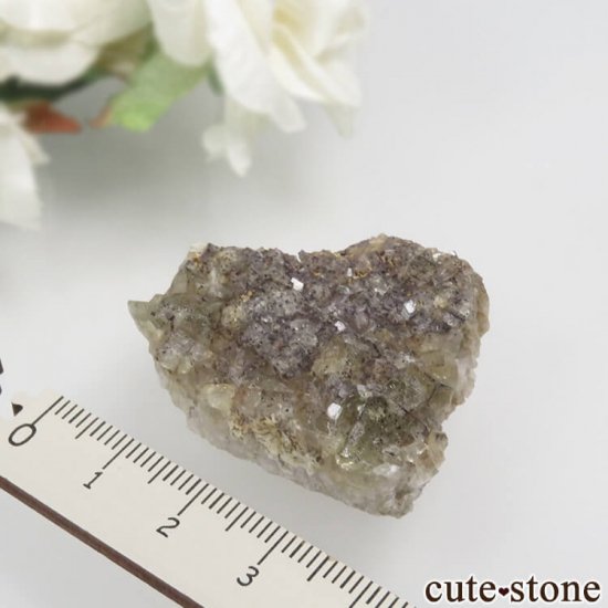 󥰥 Glossop ե饤Ȥθ No.1μ̿2 cute stone