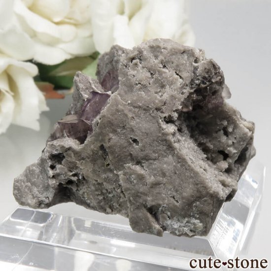 ե Bergheim ѡץե饤Ȥθ No.1μ̿1 cute stone