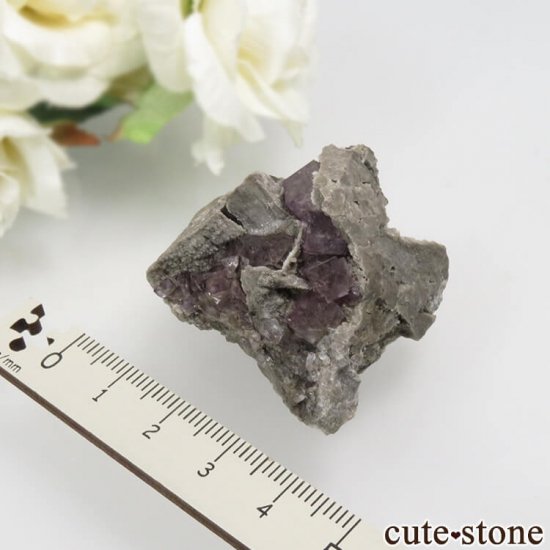 ե Bergheim ѡץե饤Ȥθ No.1μ̿3 cute stone