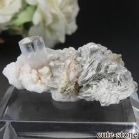 ѥ 뻺 ʥȡ⥹ХȤդ No.15β