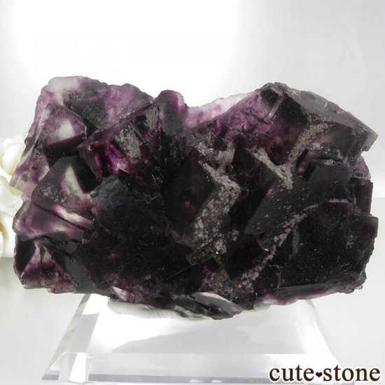 ʥߥӥ Okorusu Mine ѡץե饤Ȥθ No.16μ̿2 cute stone