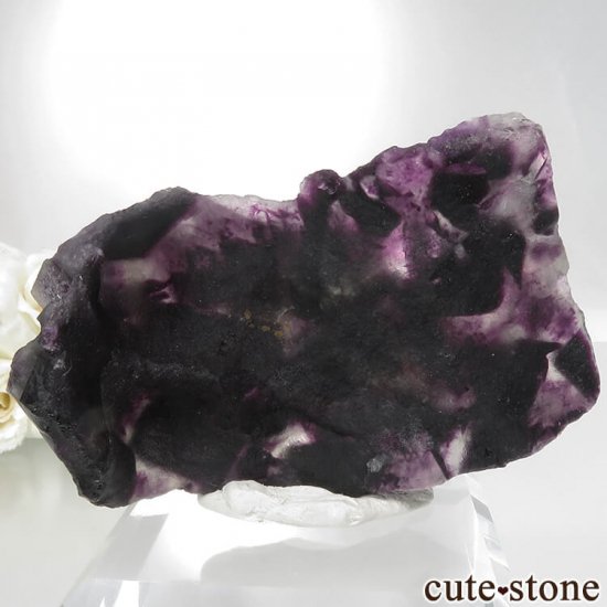 ʥߥӥ Okorusu Mine ѡץե饤Ȥθ No.16μ̿5 cute stone